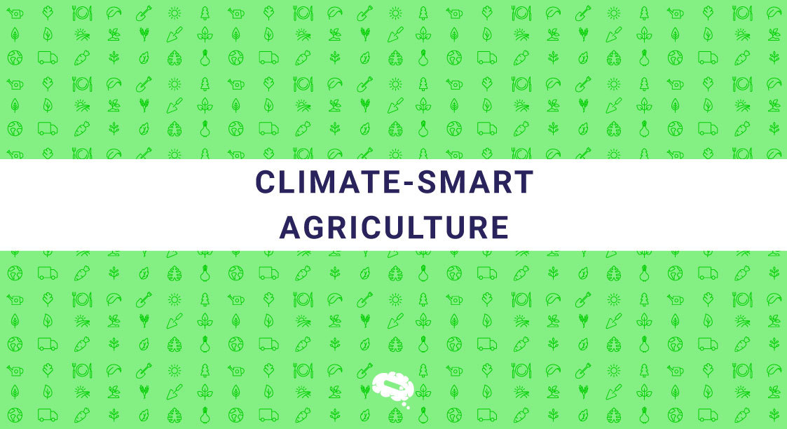 klimato kaitos požiūriu pažangus žemės ūkis