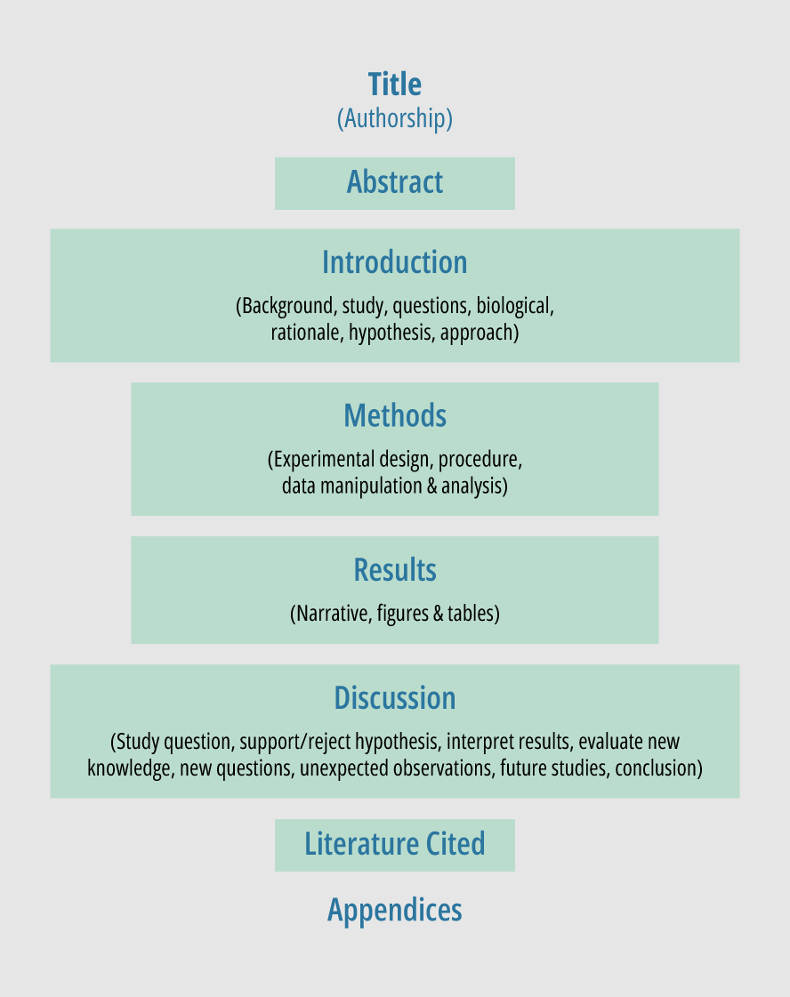 The Science Of Writing: A Dive Into Scientific Report