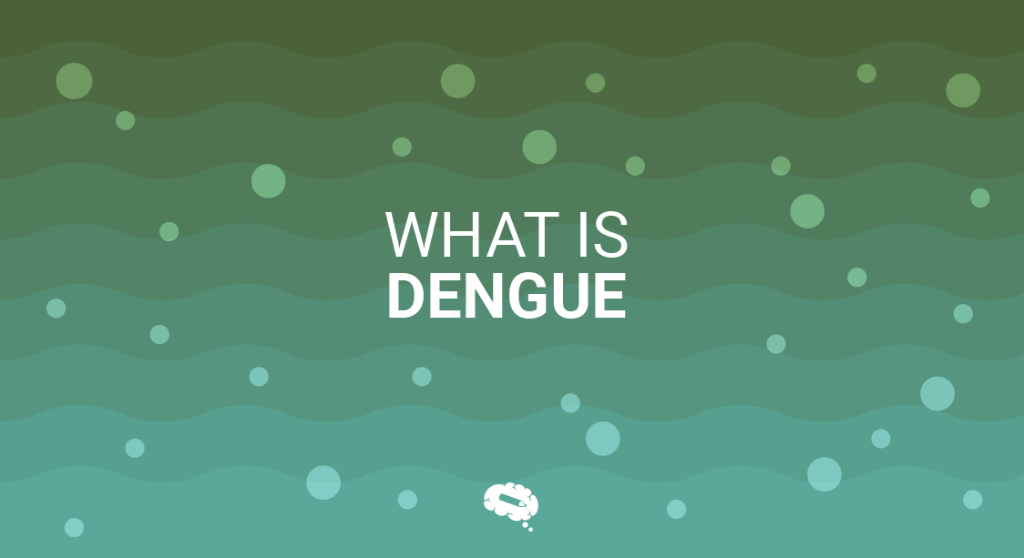 Qu'est-ce que la dengue ?