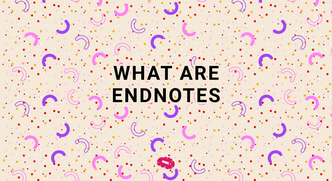 what are endnotes