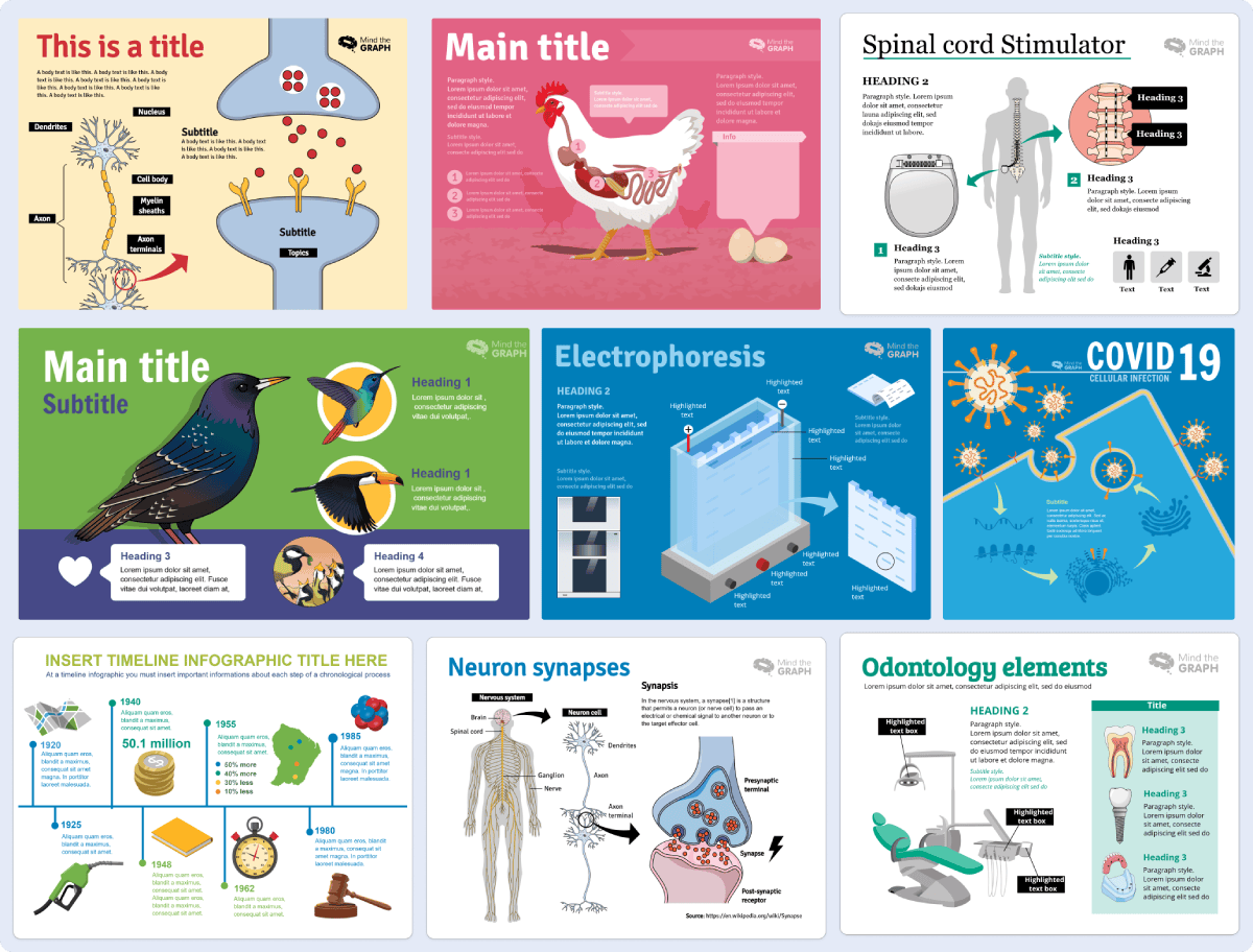 Collection of expert-validated scientific diagram templates